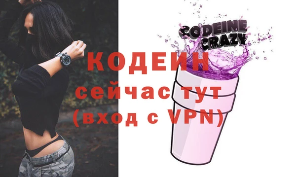 индика Нязепетровск