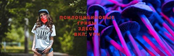 прущий лед Осинники