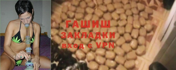 индика Нязепетровск