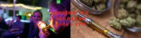 индика Нязепетровск