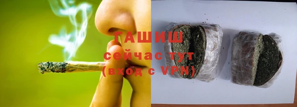 индика Нязепетровск