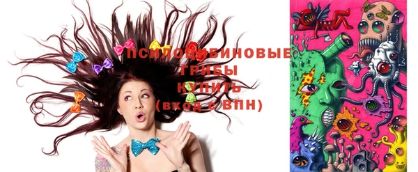 индика Нязепетровск