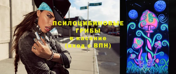 винт Няндома