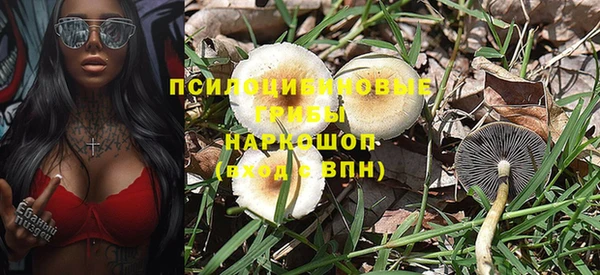 эйфоретик Баксан