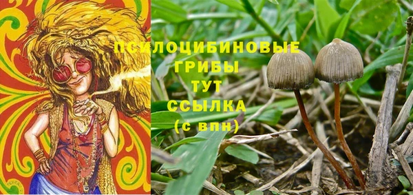 мяу мяу мука Новозыбков