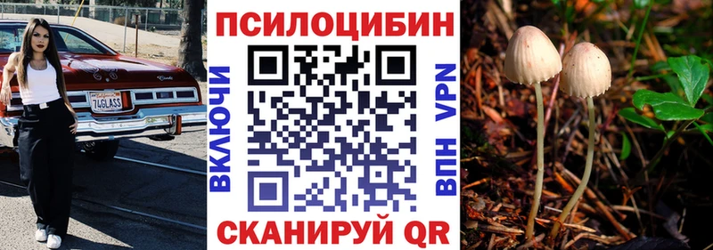 даркнет сайт  Мыски  ОМГ ОМГ рабочий сайт  Псилоцибиновые грибы MAGIC MUSHROOMS 