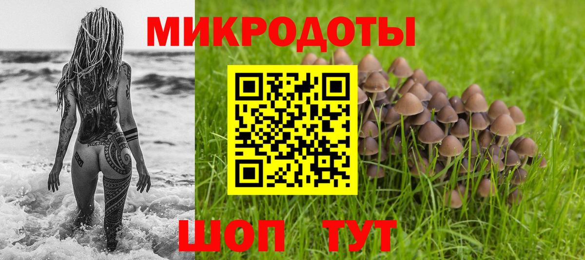 Мыски  Псилоцибиновые грибы прущие грибы  Вход с VPN 