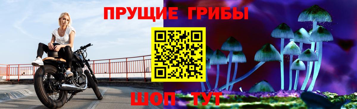 Галлюциногенные грибы Psilocybine cubensis Мыски